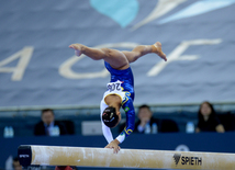 Bakıda idman gimnastikası üzrə Dünya Kuboku yarışlarının ikinci günü start götürüb. Azərbaycan, 20 fevral, 2016